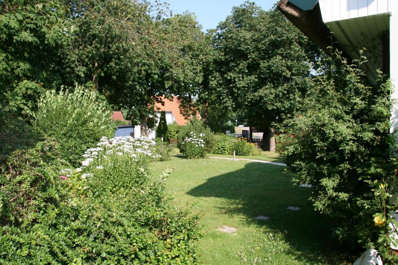 Strandstübchen Zingst Exterior foto